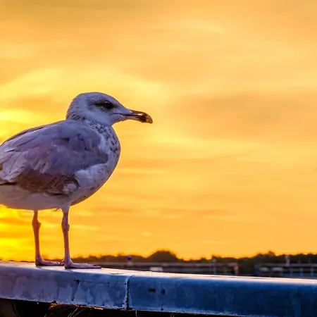 Apartmán Waterkant 2 Travemuende